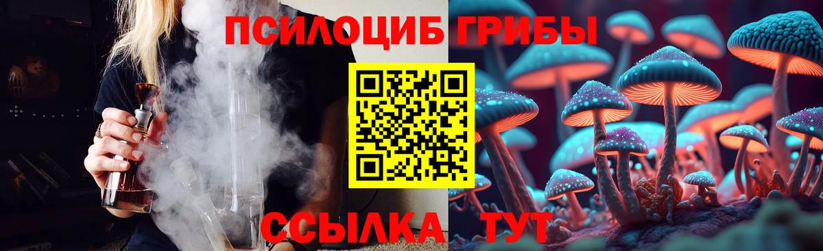 где продают   Вход с VPN  Псилоцибиновые грибы MAGIC MUSHROOMS  Нурлат  Галлюциногенные грибы Cubensis 